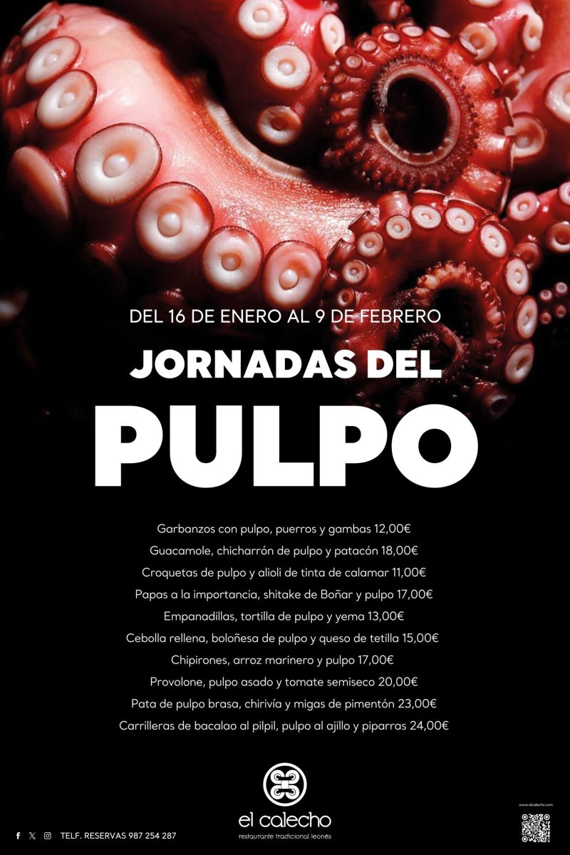 JORNADAPULPO80x120